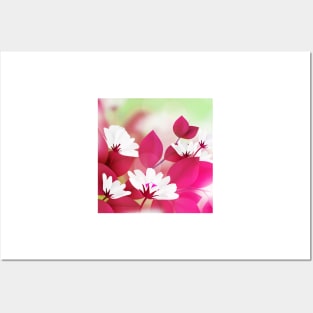 White Pink Flower Art Posters and Art